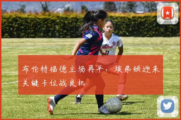 布伦特福德主场再平，埃弗顿迎来关键卡位战良机