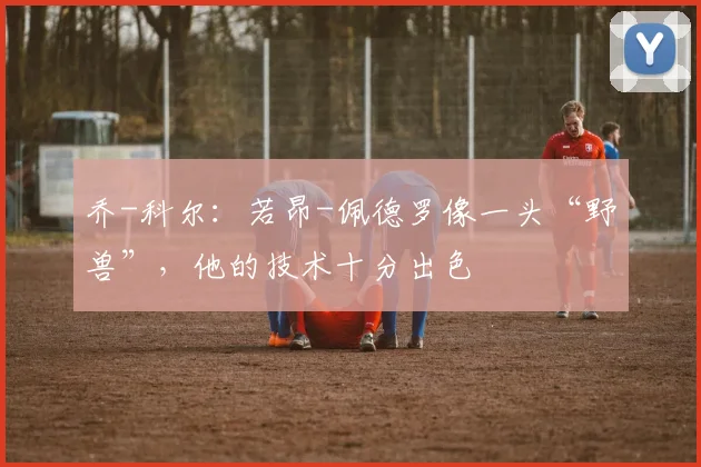 乔-科尔：若昂-佩德罗像一头“野兽”，他的技术十分出色