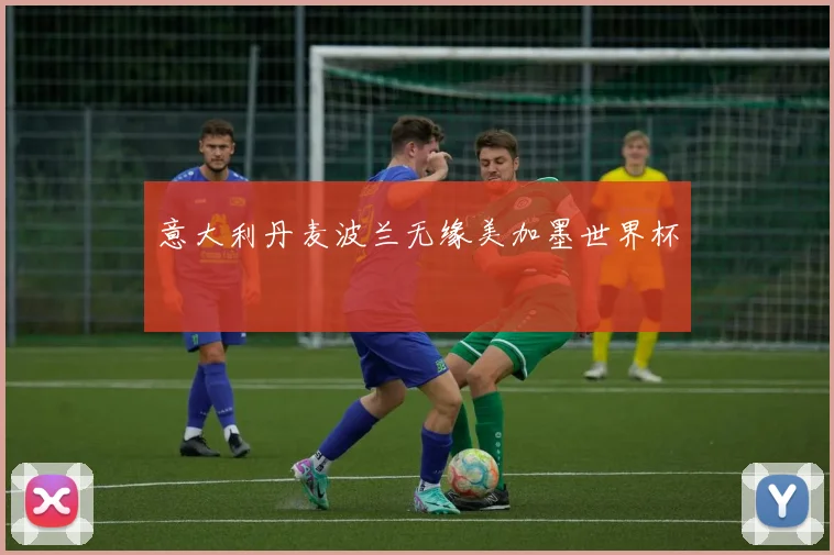 意大利丹麦波兰无缘美加墨世界杯